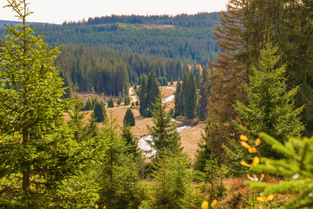 prameny vltavy25