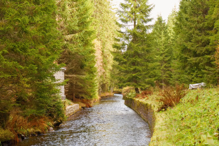 prameny vltavy25